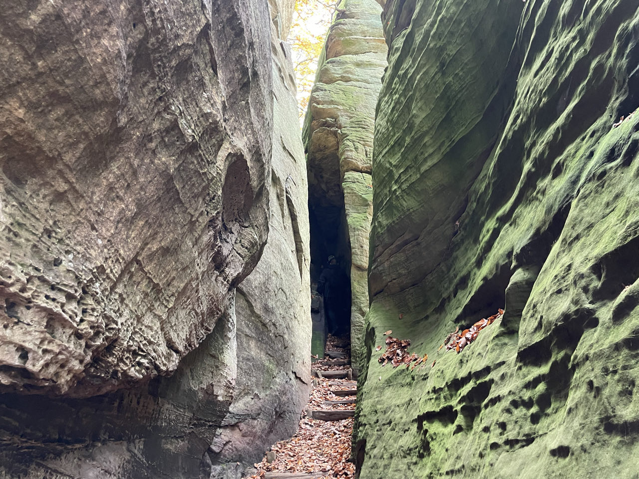Foto bij Mullerthal Trail: Route B2
