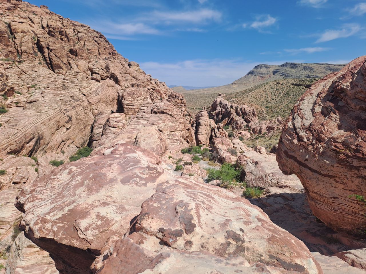 Red rock canyon