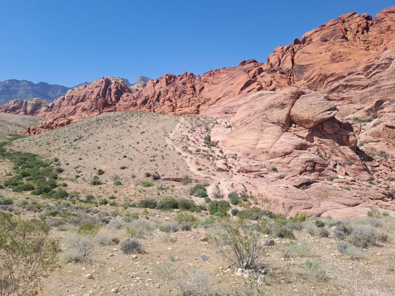 Red rock canyon