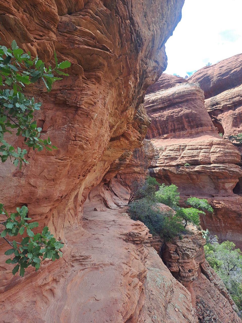 Boynton trail Sedona