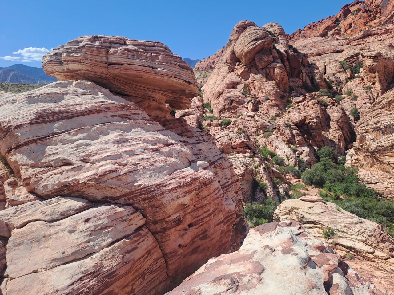 Red rock canyon