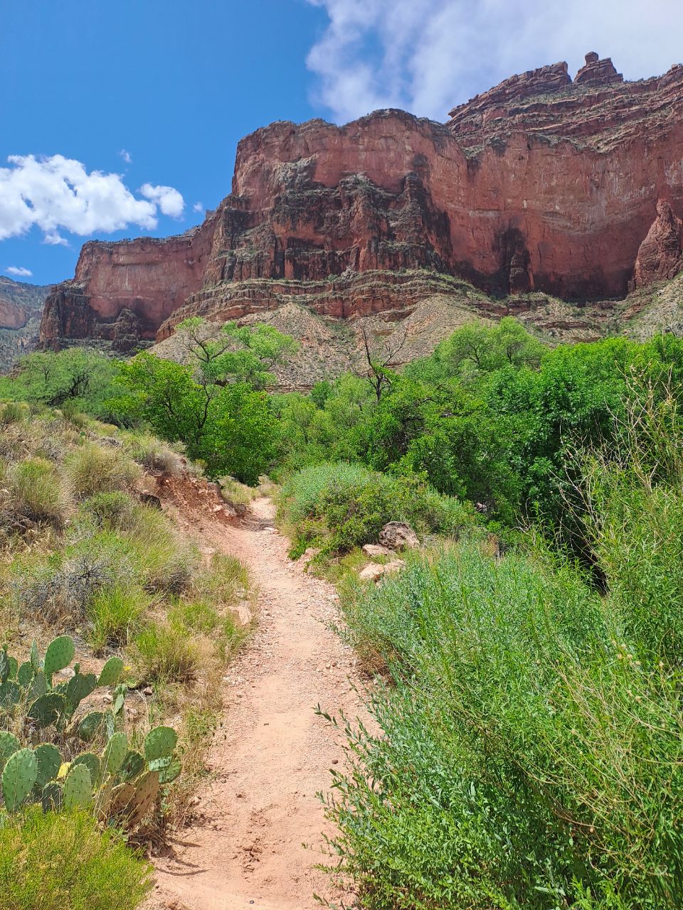 Grand canyon Bright angel Trail