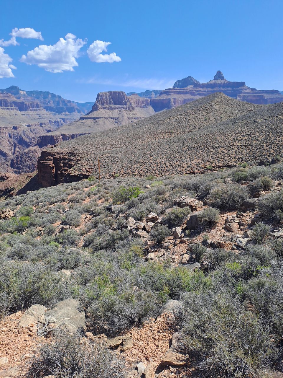 Grand Canyon, Tonto trail