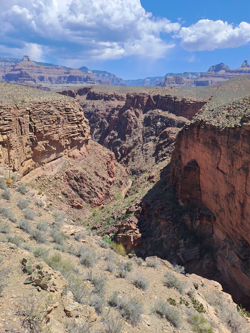 Grand Canyon, Tonto trail