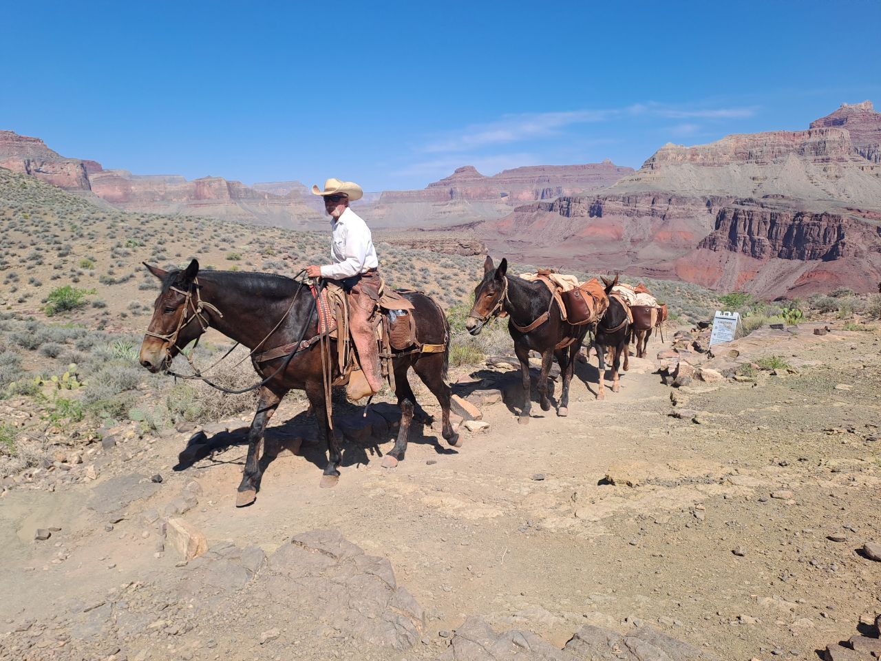 Grand Canyon, south kaibab trail