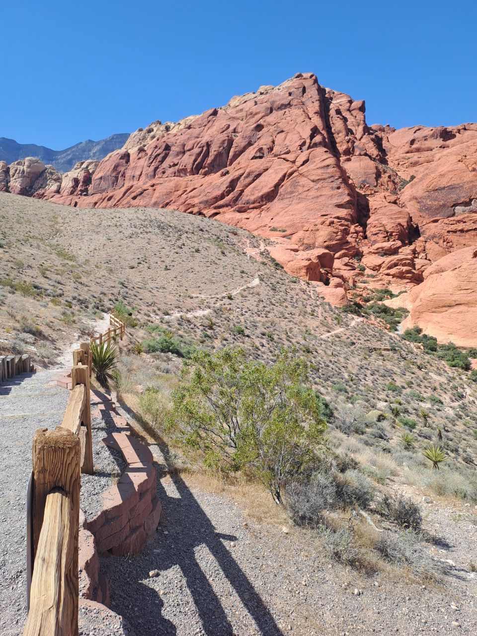 Red rock canyon