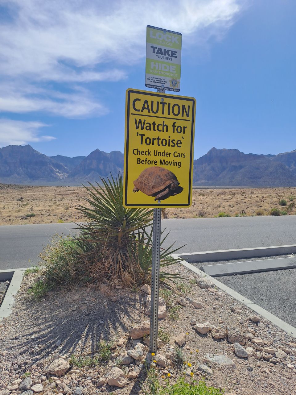 Red rock canyon
