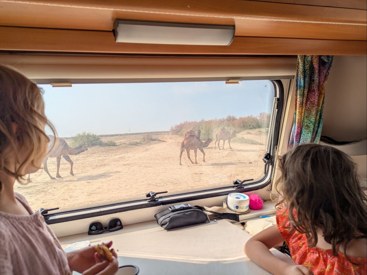 Бестораңғыл